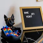 Olive Apartment
