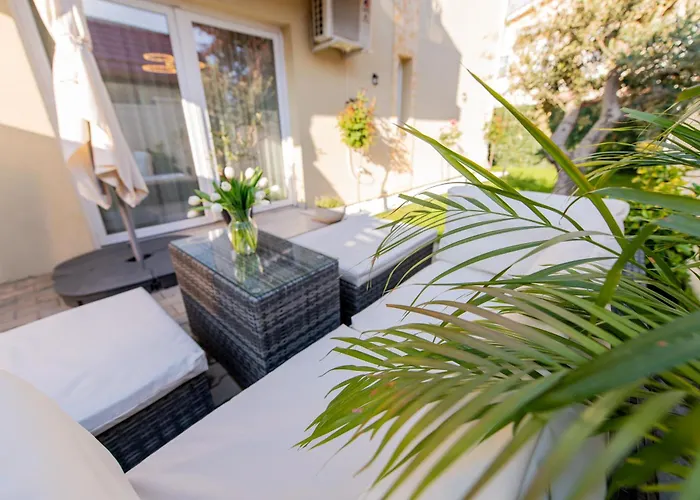Olive Apartment
